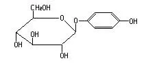 Molecular Structure of Arbutin