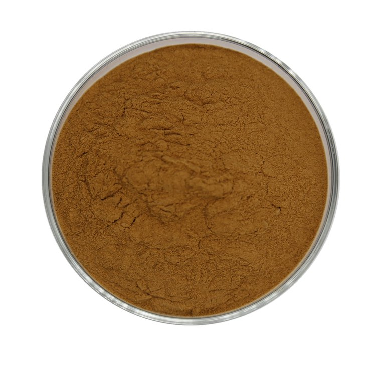 High Quality Burdock Extract Powder 100% Natural Herbal Extract Fully Water-Soluble
