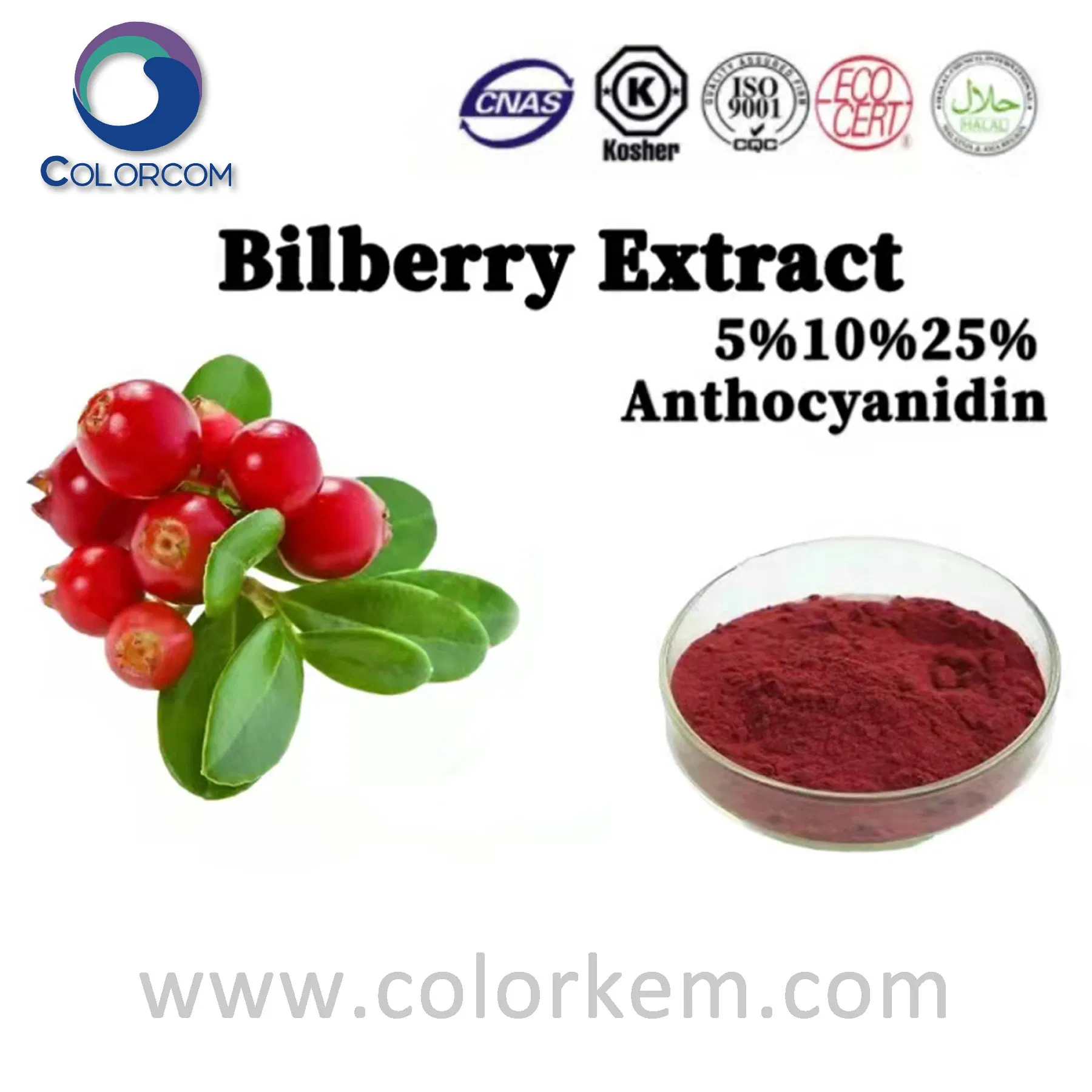 Organic Bilberry Powdered Extract CAS 84082-34-8 Blueberry Extract