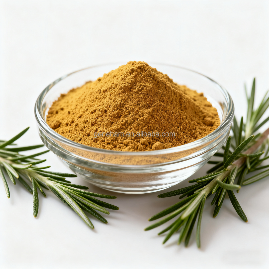 Rosemary Extract Rosmarinic Acid Powder for Natural Hair Health Solutions