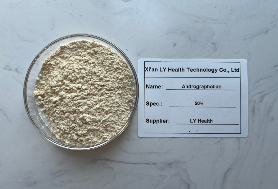 Andrographis Paniculata Extract Info
