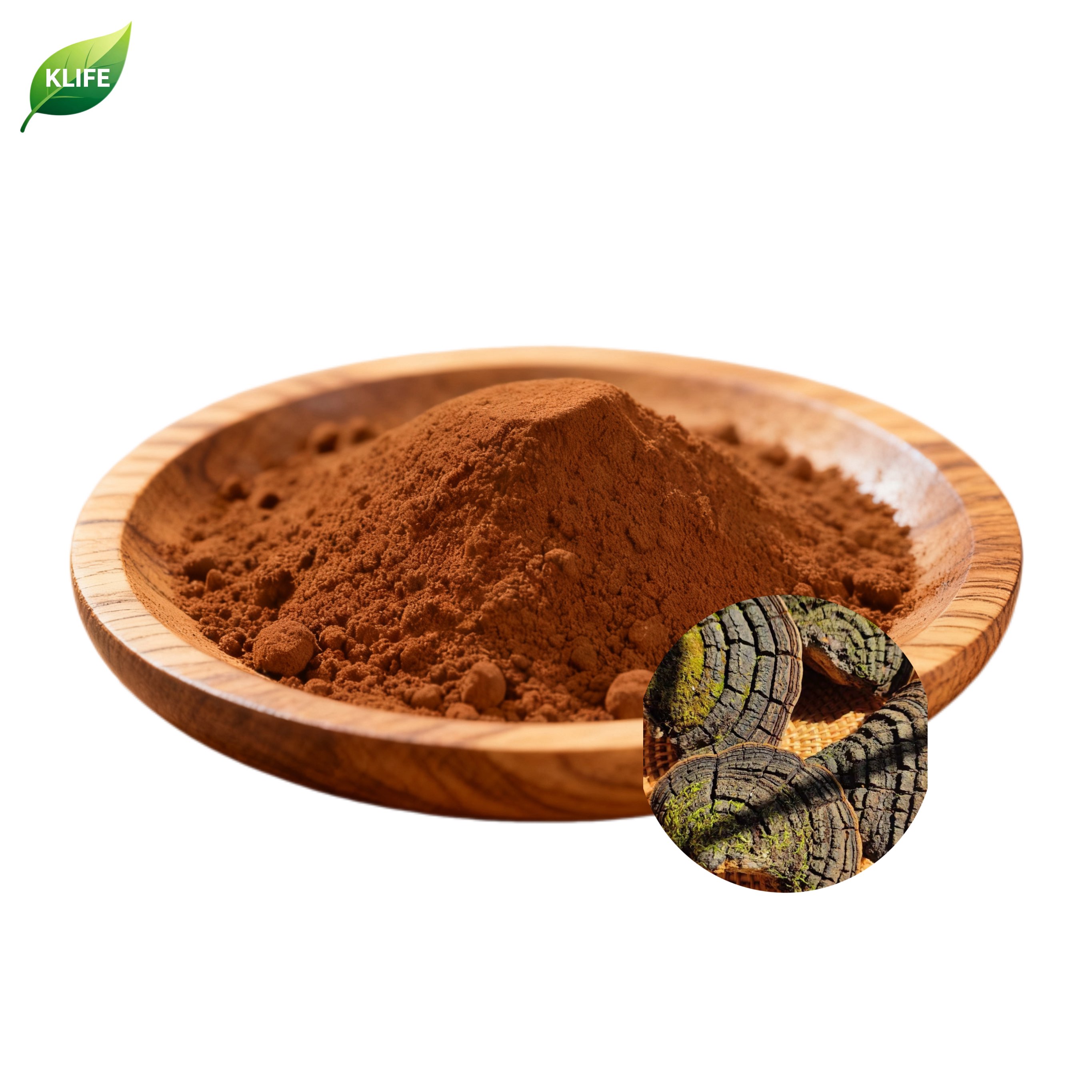 KLIFE Factory Wholesale Natural Botanical Supplement Ingredient Phellinus Igniarius Extract Powder