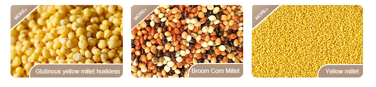 Broom corn and sticky millet portfolio