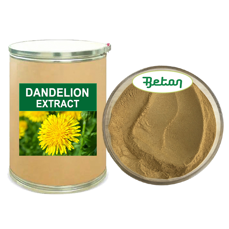 Hot Sale Natural Water Soluble Dandelion Root/Leaf Extract Powder for Supplements 4% 5% Flavonoids