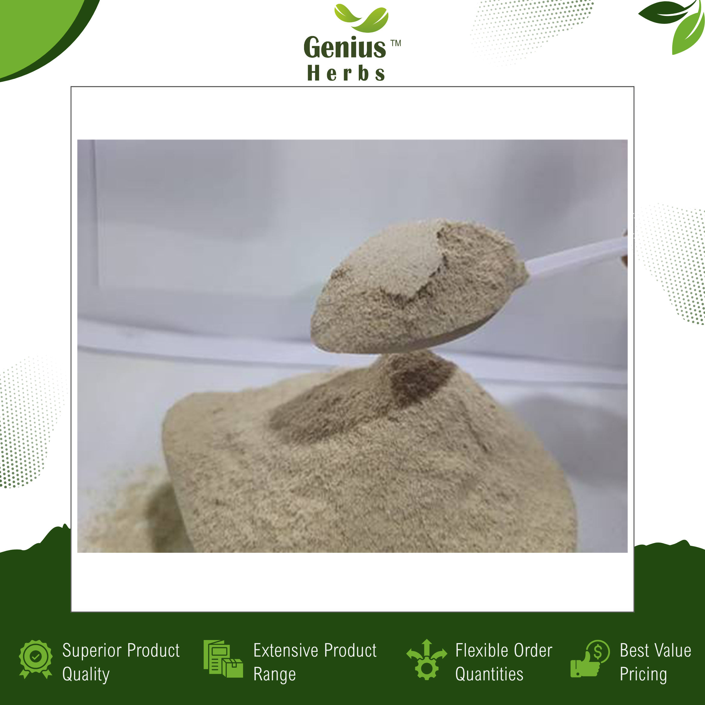 Standardized Ashwagandha Root Extract Powder 2.5 Percent Withanolides Organic Natural Supplement Bulk Private Label
