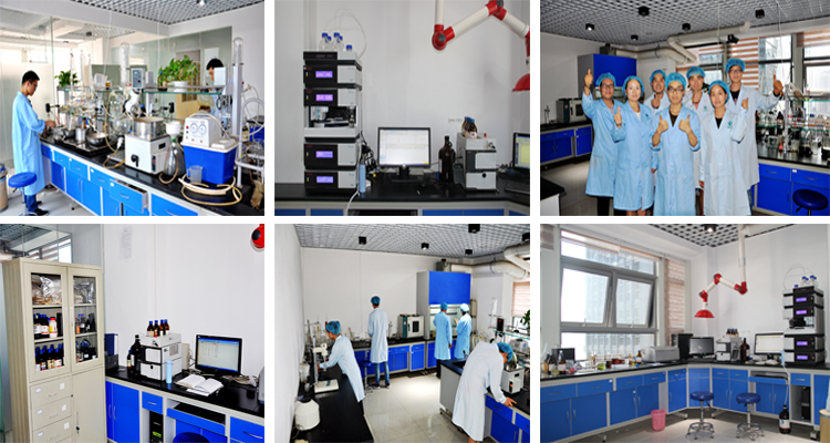 Laboratory Analysis