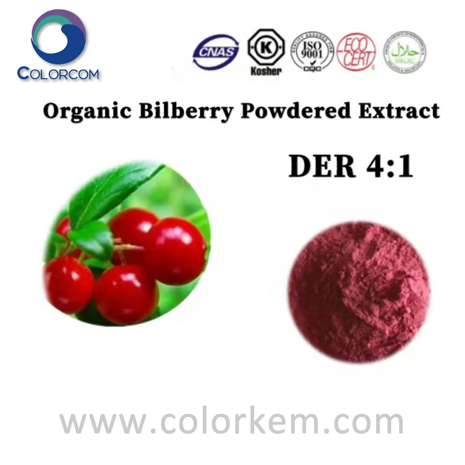 Organic Bilberry Powdered Extract CAS 84082-34-8 Blueberry Extract