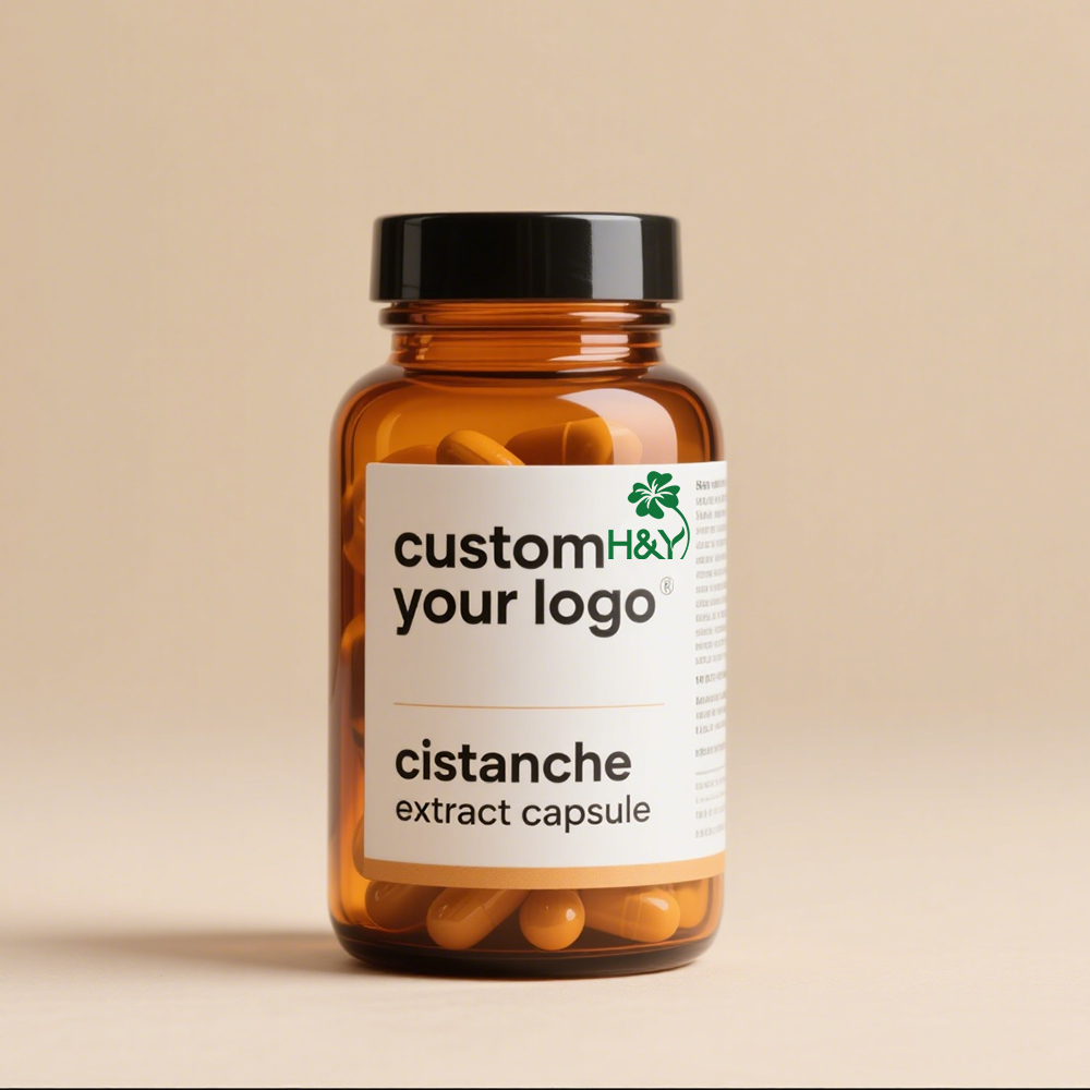 Hot Selling Best Price Herbal Extract Cistanche Deserticola Extract Capsules Cistanche Tubulosa Extract Cistanche Capsules