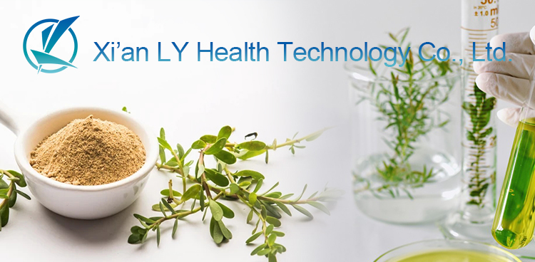 Halal Manufacturer Provide Andrographis Paniculata Extract Powder 10% 50% 98% Andrographolide