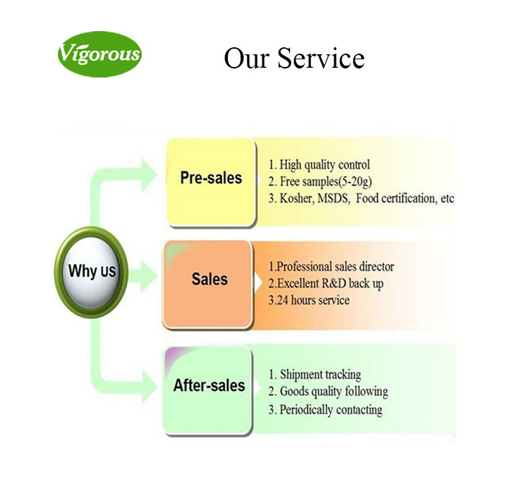 Customer Service Team