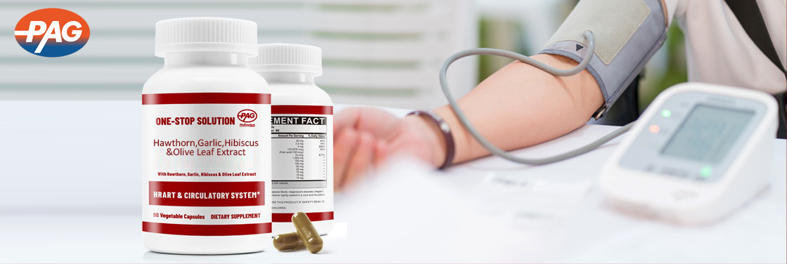 Supplement Manufacturer Olive Leaves Hawthorn Garlic Hibiscus Extract Hard Capsule