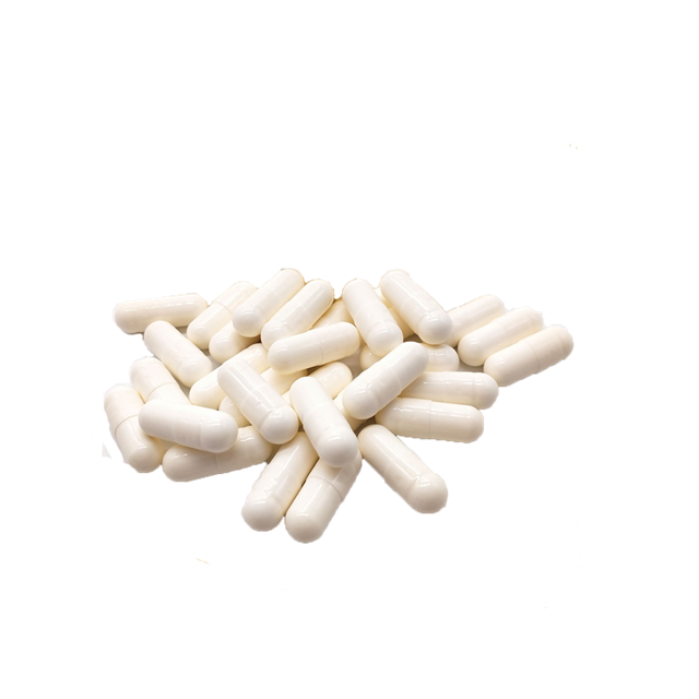 QYherb Supply High Quality Plant Extract Pine Needle Leaf Extract 10:1/20:1 Free Sample