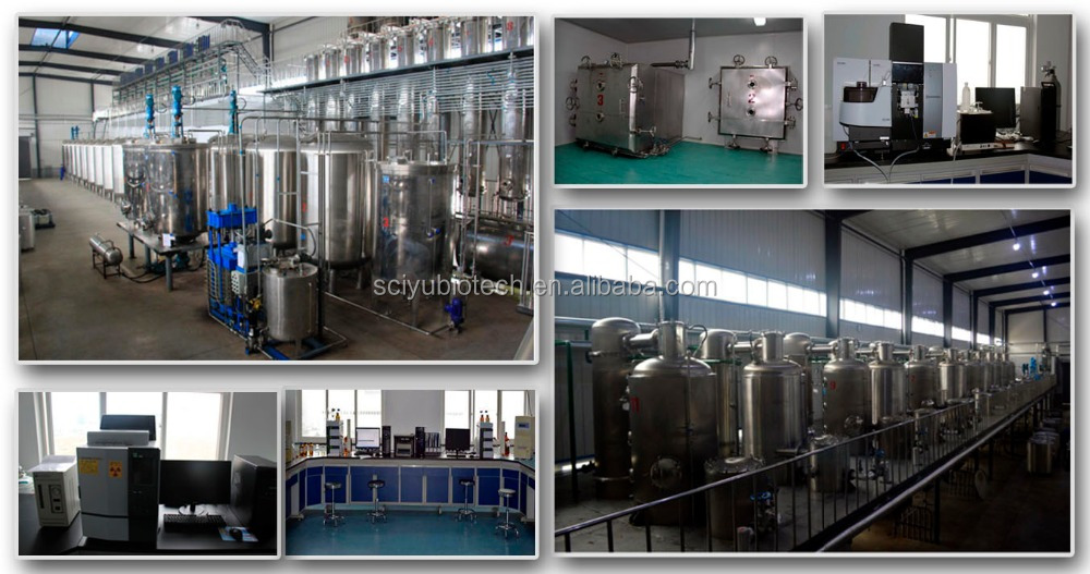 Herb Orthosiphon Stamineus Extract Powder 20:1 10:1 Water Soluble