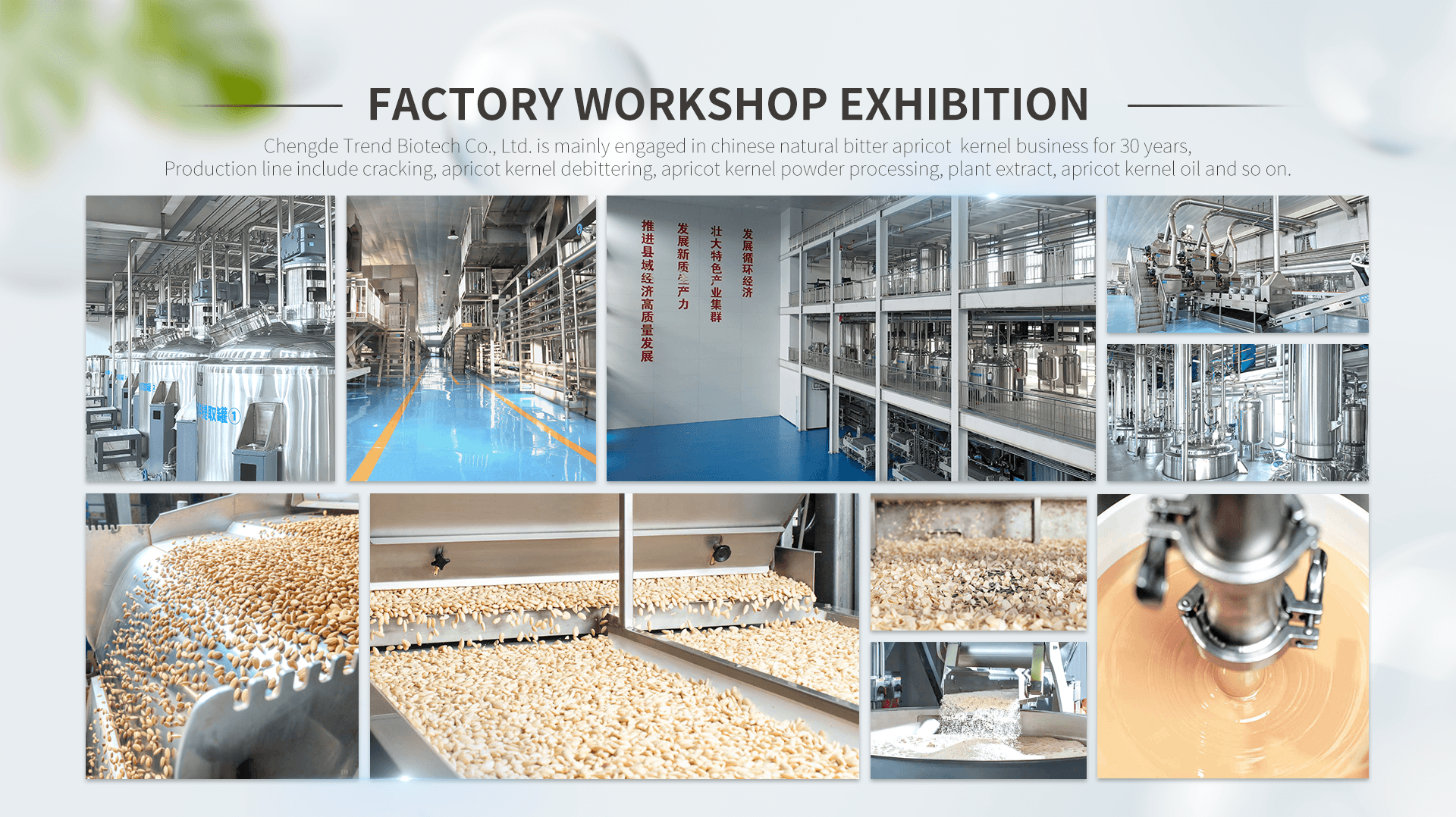 Factory Facilities 3