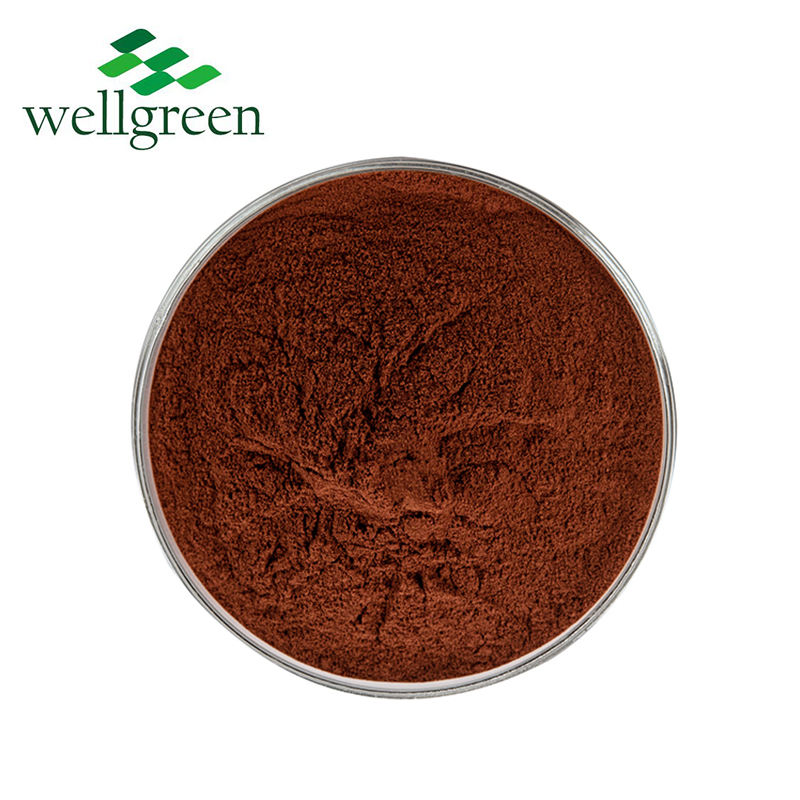 Extract Wholesale Cassia Organic Powdered Ceylon Chinese Sticks Cortex Cinnamomi Cinnamon Powder
