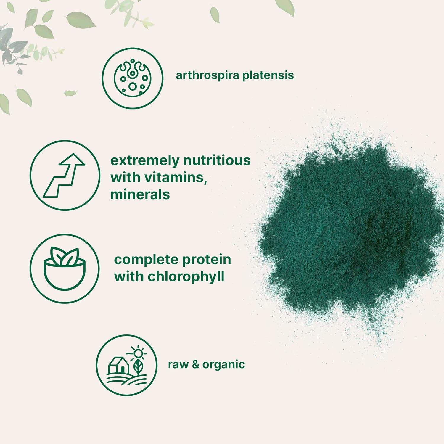 Organic Spirulina Powder Herbal Extract Blue Spirulina Organic Rich in Vegan Protein for Antidoxidant and Immune Support