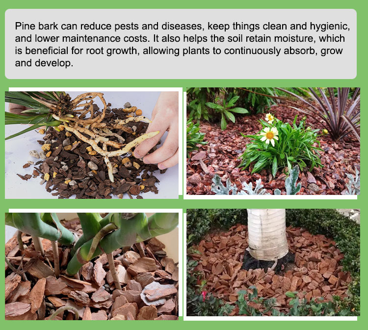 Ground Covering