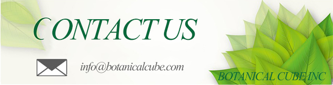 Certificate Banner