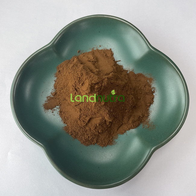 Wholesale Bulk Pure Organic Reishi Mushroom Extract Ganoderma Lucidum Powder Reishi Mushroom Extract Powder