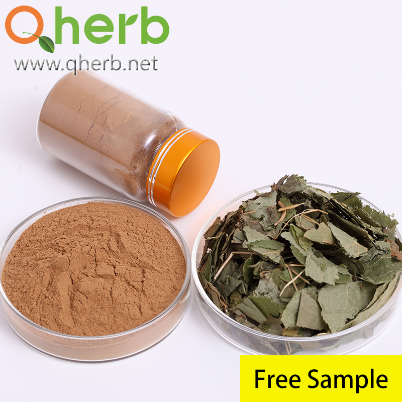 Nutrition Supplement 20% Horny Goat Extract Epimedium Extract