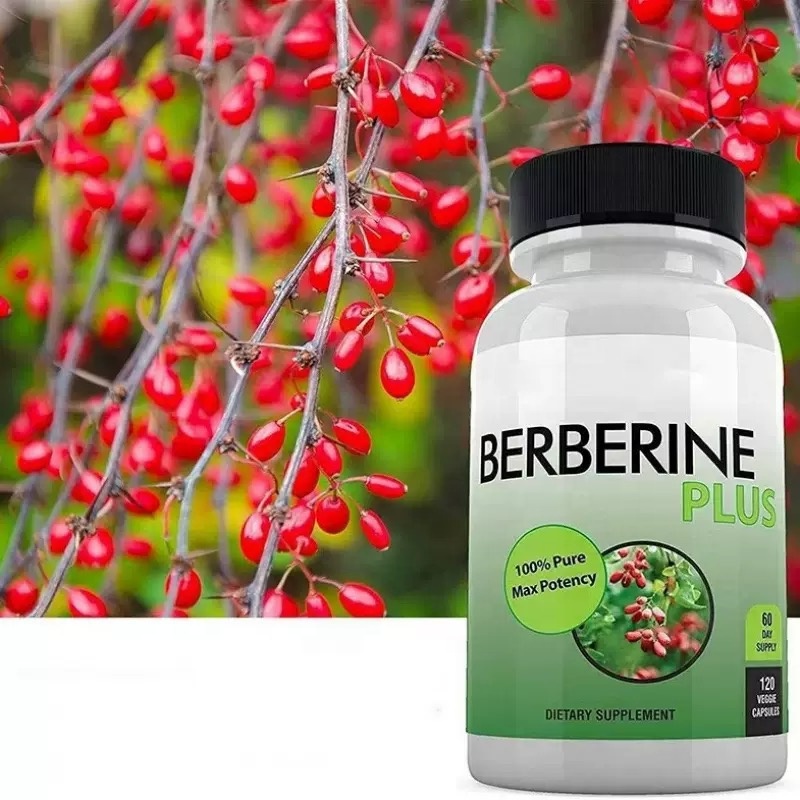 New Arrival Berberine Herbal Extract Capsule Immune System Health Dietary Supplement