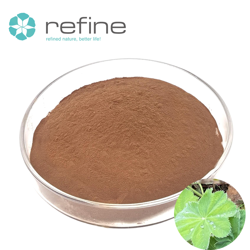 Alchemilla Vulgaris Extract Detail 2