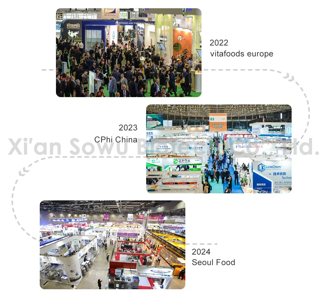 Sowu Supply Natural Plant Extract 30: 1 Fleeceflower Root Extract