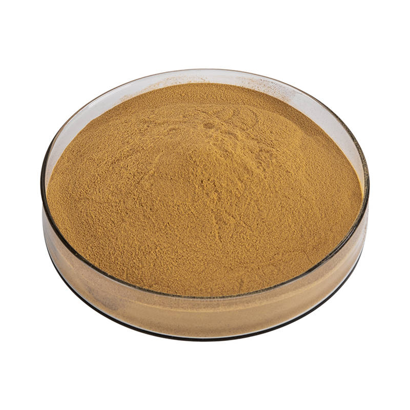 Custom-Grade Premium Botanical Ivy Gourd &amp; Leaf Extract Powder 100% Organic Natural Herbal Wholesale OEM/ODM