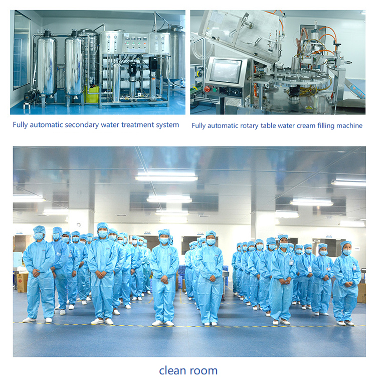 Company Introduction Image