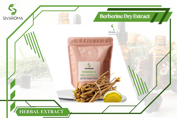Bulk Wild Berberine Extract Product Image