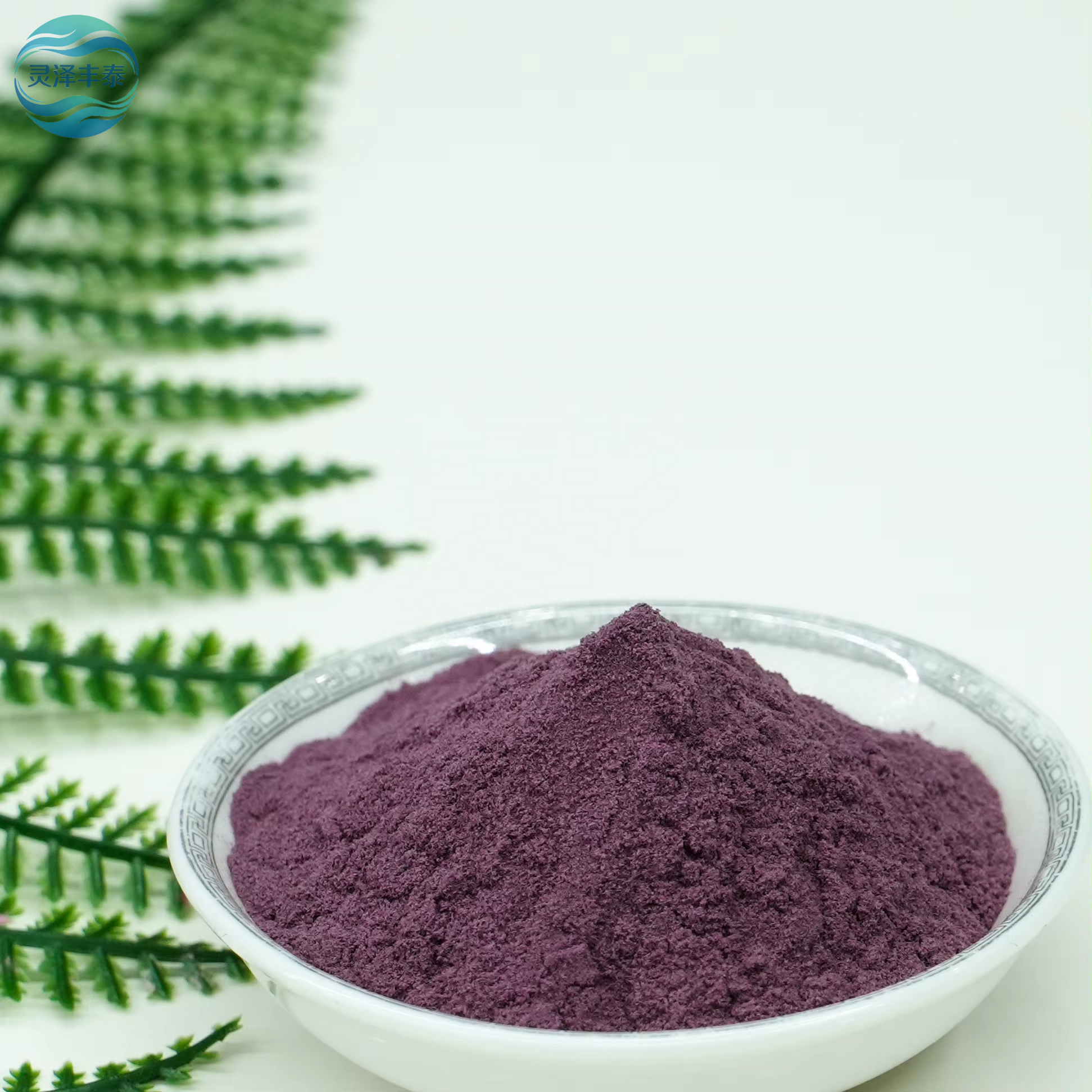 Food Grade Herbal Extract 100% Water Soluble Instant Mulberry Powder Spray Dried Fruit &amp; Juice Powder Bulk Drum