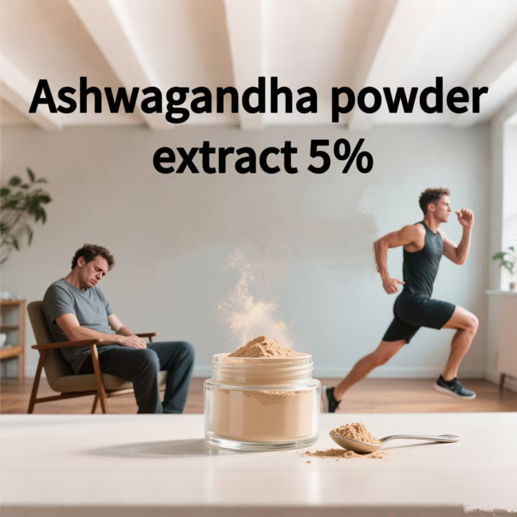 Wholesale Wholesale Plant Extract Ashwagandha Root Extract Powder Withanolides 2.5% 5% 10% C Ayurvedic Extract