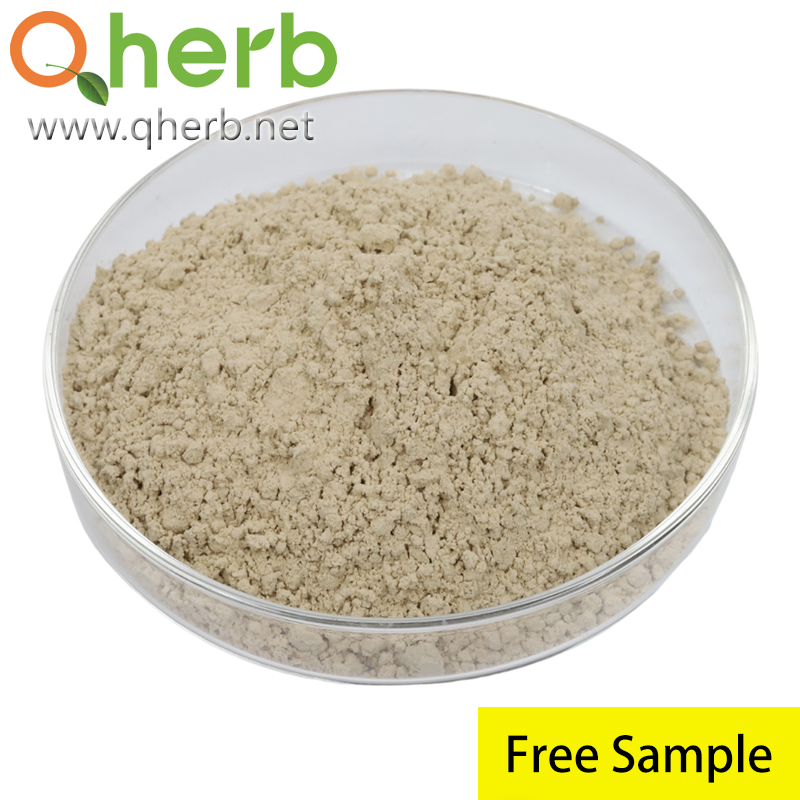 Total Ginsenosides 75% HPLC Radix Notoginseng Extract Cp2020 for Anti-Pain