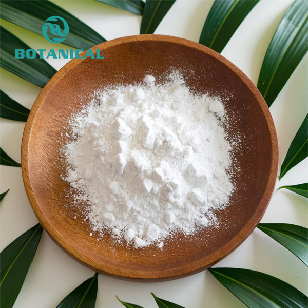 Herbal Extract Black Sesame Seed Extract Sesamum Indicum Powder, 98% Sesamin Extract