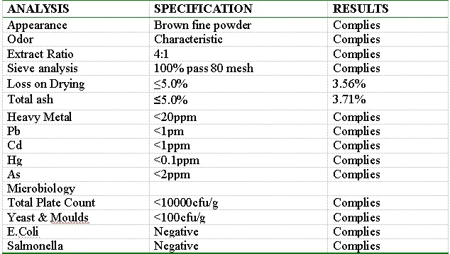 High Quality Burdock Extract Powder 100% Natural Herbal Extract Fully Water-Soluble