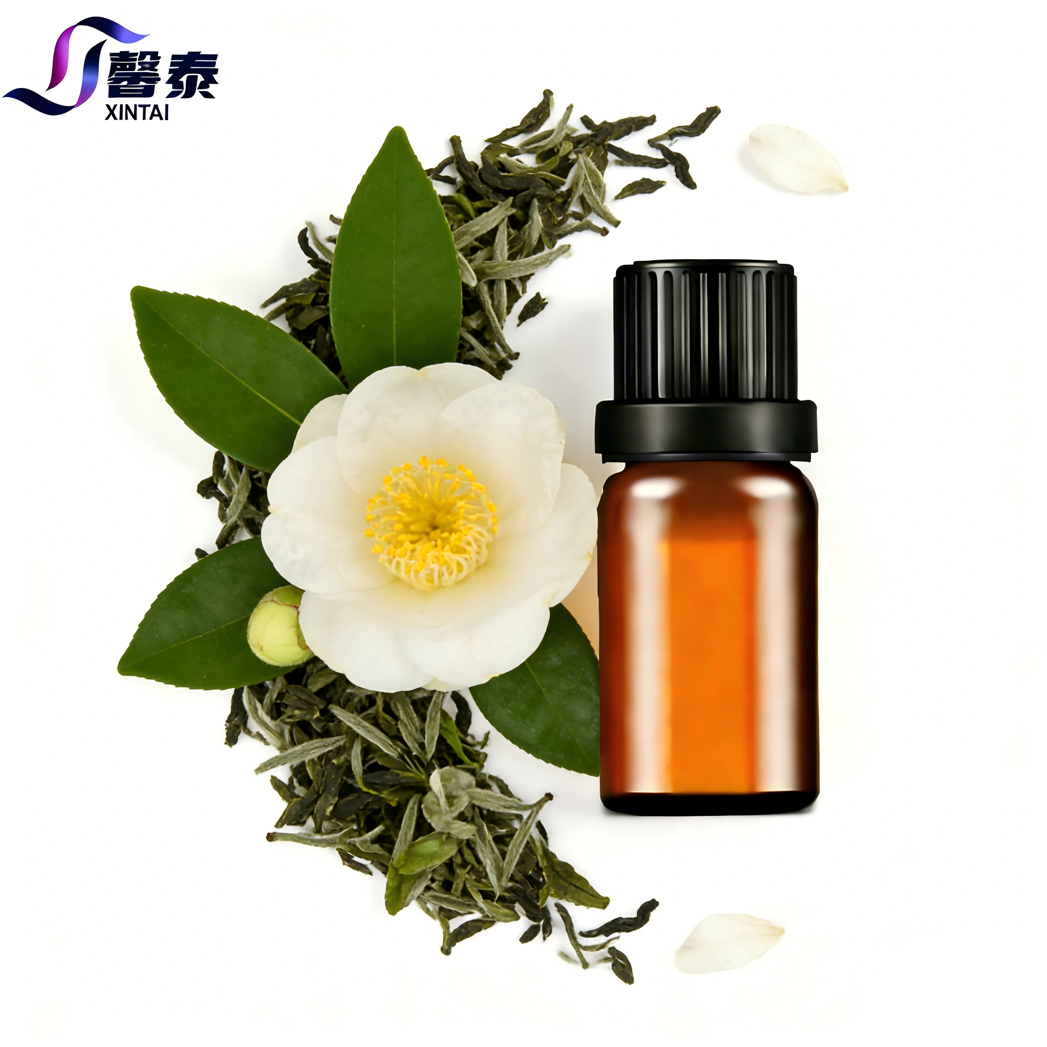 Custom Camellia Sinensis Leaf Oil Or Facial Serum &amp; Massage Wholesale