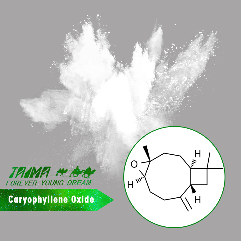 Xi`an Taima 100% Pure Caryophyllene Oxide Powder Natural Plant Extract For Food Industrial &amp; Drink Fragrance Essential Oil
