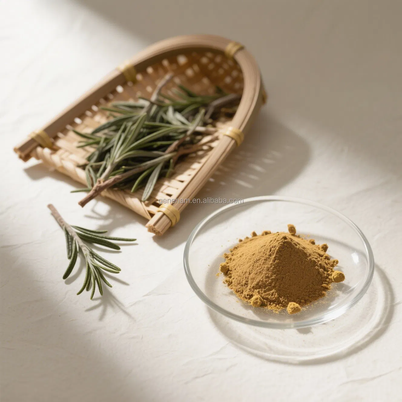 Antioxidant Rosemary Extract Carnosic Acid Powder 60% for Skincare &amp; Hair Care