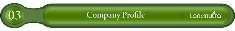 Wholesale Bulk Pure Organic Reishi Mushroom Extract Ganoderma Lucidum Powder Reishi Mushroom Extract Powder
