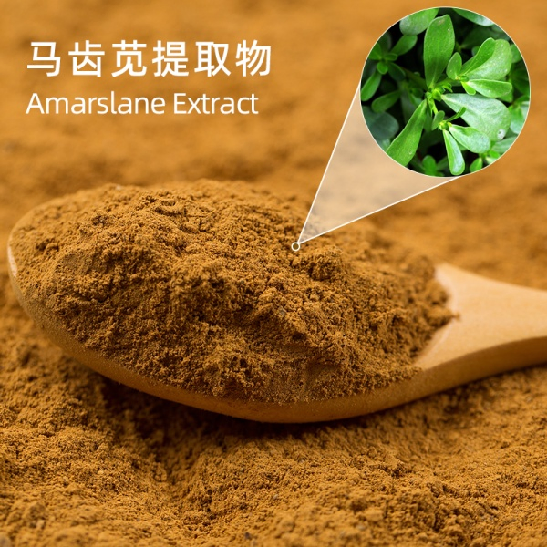 Premium Portulaca Oleracea Extract Powder Dried Herb Plant Purslane Extract