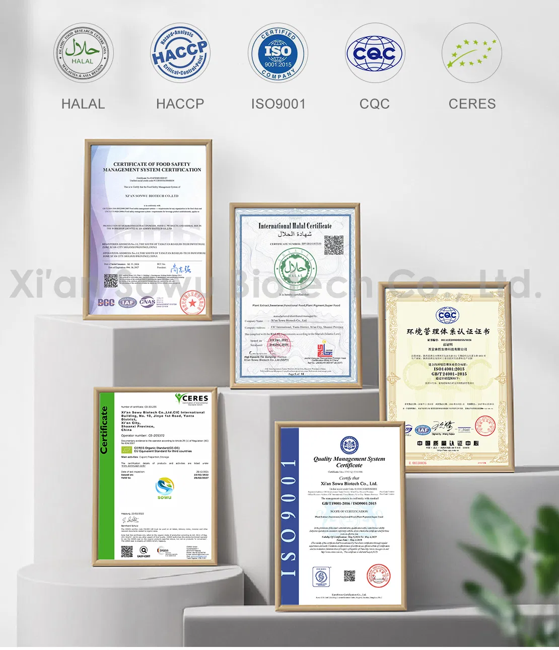 Standard Laboratory Quality Inspection