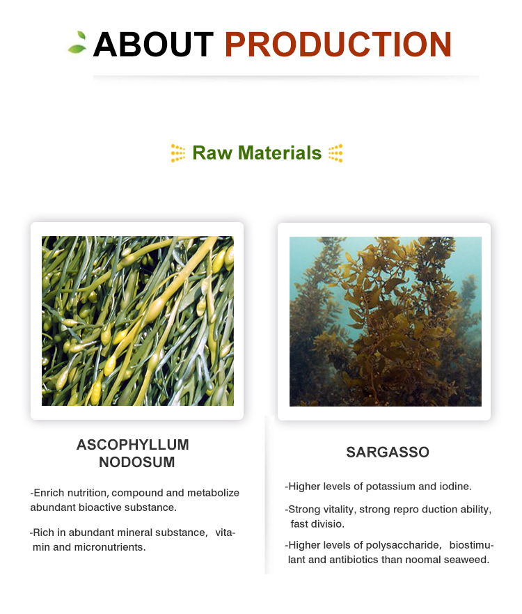 Seaweed Liquid Foliar Fertilizer Product Image 2