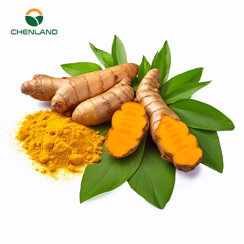 Food Grade Water Soluble CuminUP60 Turmeric Extract 178X High Bioavailability for Health Food &amp; Powder Beverages