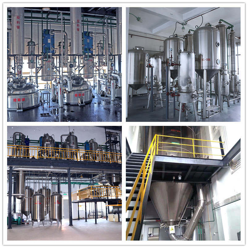 Botanical Herbal Extract Factory Facility