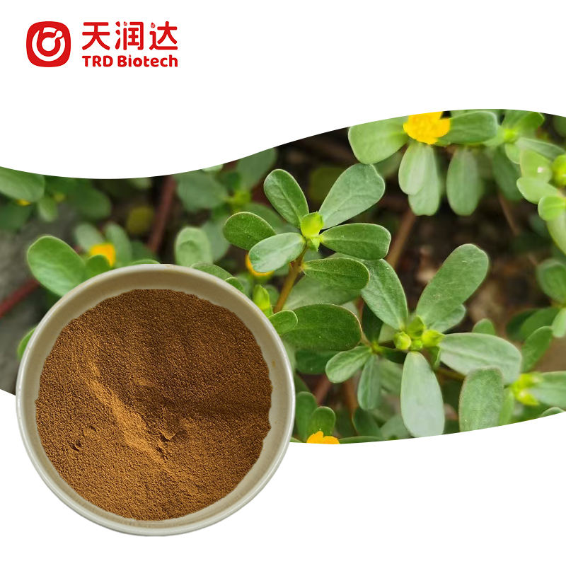 Factory Supply Bacopa Monnieri Leaf Extract Wholesale Organic Bacopa Bacosides Powder