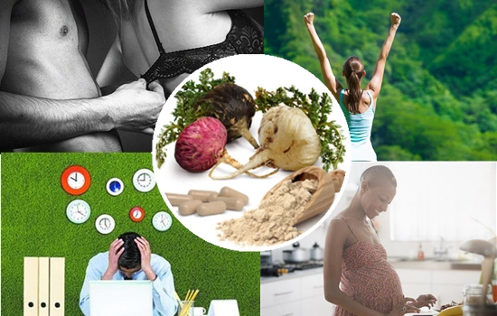 Maca Functions