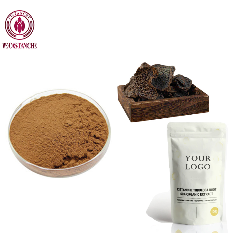 High Echinacoside Cistanche Tubulosa Extract Powder, Natural Antioxidant Herb for Renal Wellness &amp; Energy Support