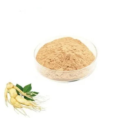Best Herbal Supplements Panax Ginsenosides Ginseng Root Extract Water Soluble Powder