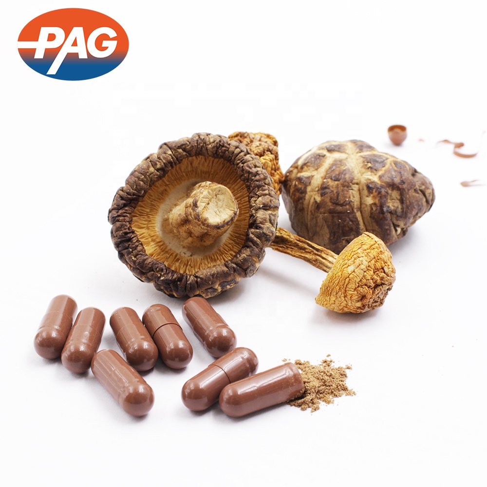 Mushroom Extract Capsules Display 2