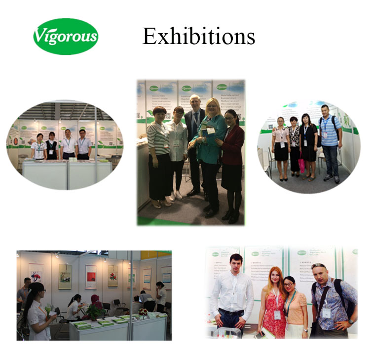 Trade shows and exhibitions